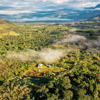 Laird Superfood, Sustainability Initiative