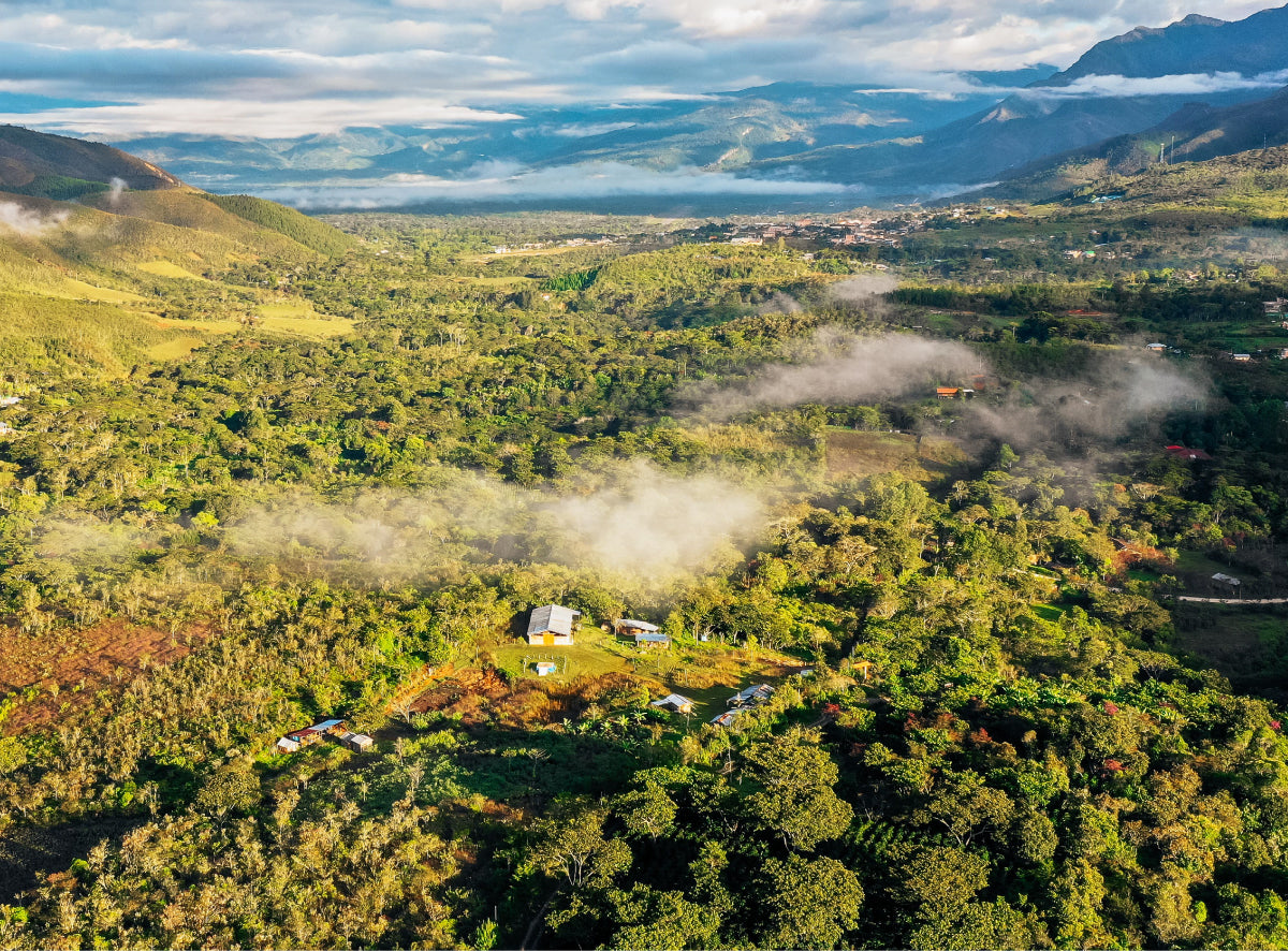 Laird Superfood, Sustainability Initiative