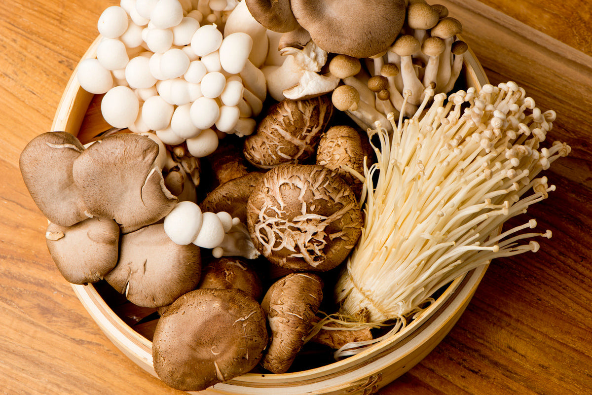 An overhead shot of functional mushrooms