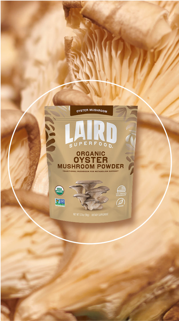 Laird Superfood organic oyster mushroom powder with an oyster mushroom background