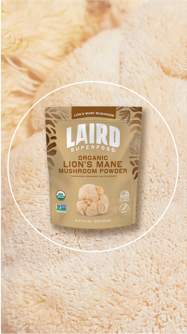 Laird Superfood organic lion's mane mushroom powder with a lion's mane mushroom background