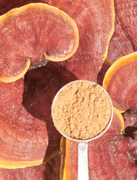 Organic Reishi mushroom powder