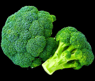 Broccoli