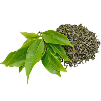 green tea extract