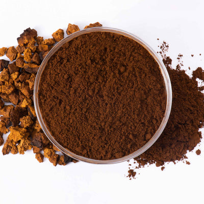 Organic Chaga Mushroom