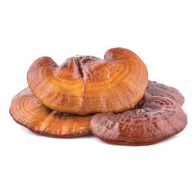 Organic Reishi Mushroom Extract