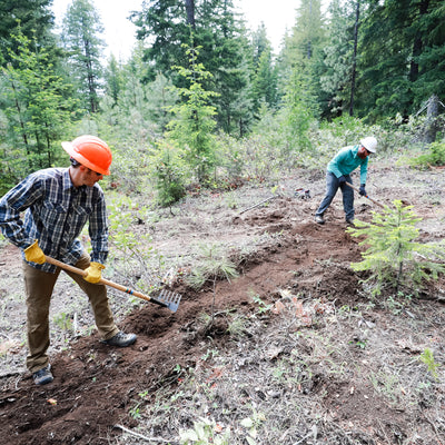 Laird Superfood and The Oregon Timber Trail Alliance