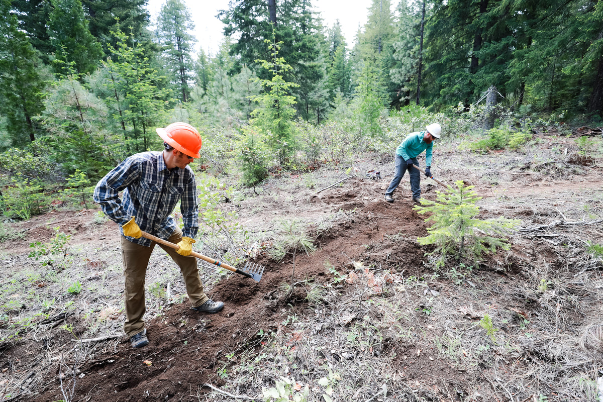 Laird Superfood and The Oregon Timber Trail Alliance