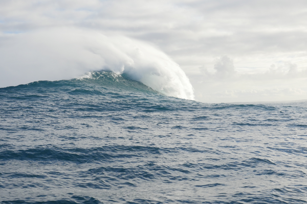 How Does Our Sense of Purpose Affect Our Well-being?