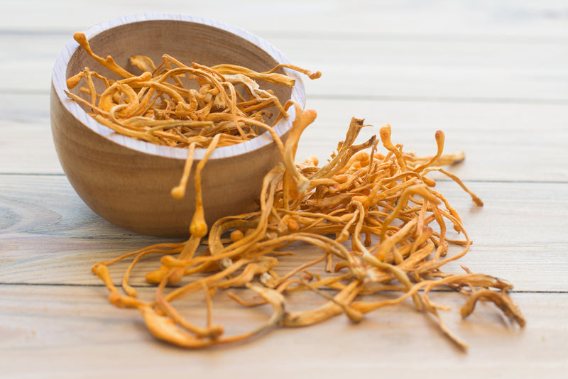 Cordyceps Mushrooms