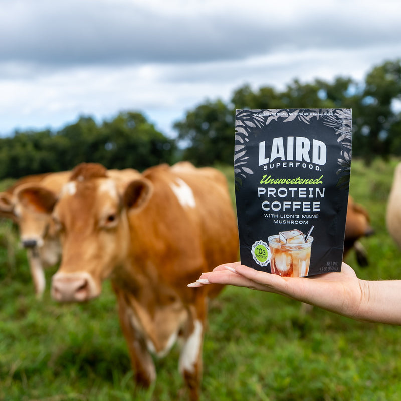 Unsweetened Protein Coffee