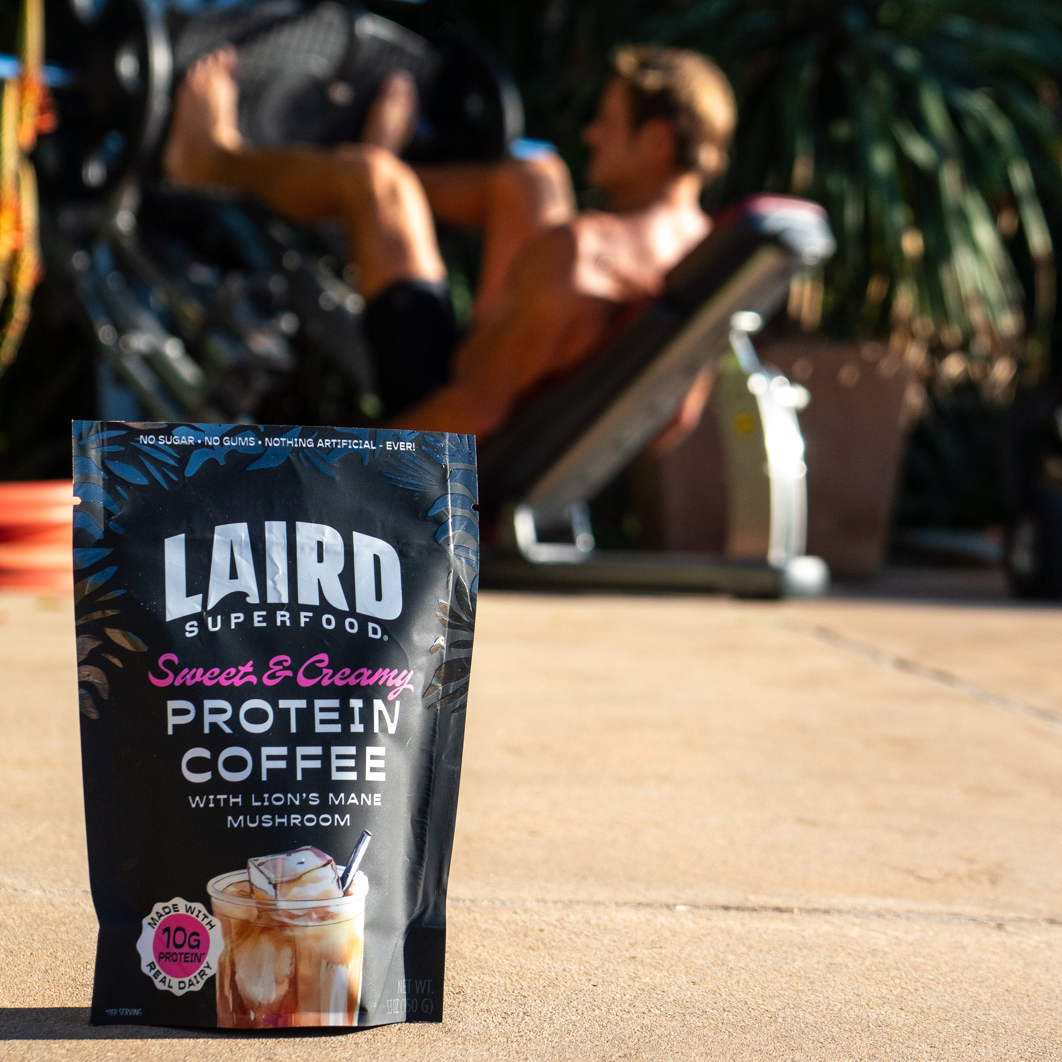 Sweet & Creamy Protein Coffee 5.3oz – Laird Superfood