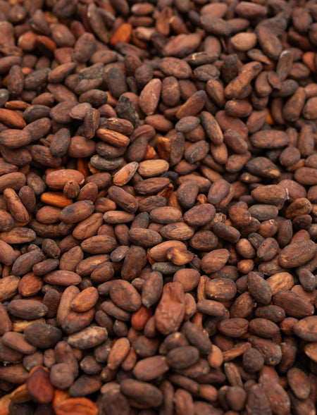 Cacao Powder