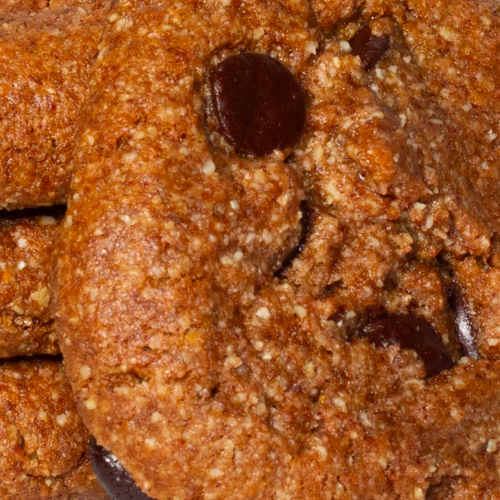 close up cookie and chocolate chip texture