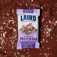 Dark Chocolate Sea Salt Protein Bar (10pck)