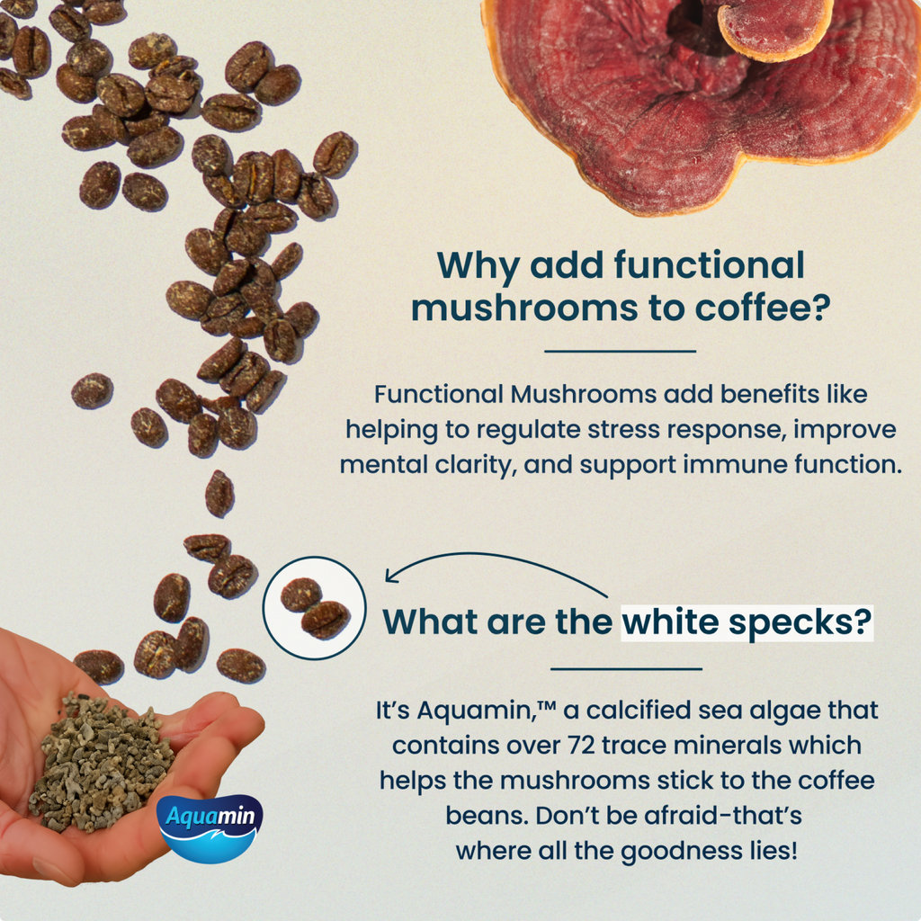 Laird Superfood infographic showing the benefits for adding functional mushrooms to coffee and explaining the appearance of the white specks on the coffee beans as aquamin. 