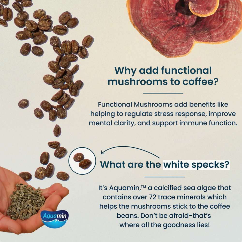 Laird Superfood infographic showing the benefits for adding functional mushrooms to coffee and explaining the appearance of the white specks on the coffee beans as aquamin. 