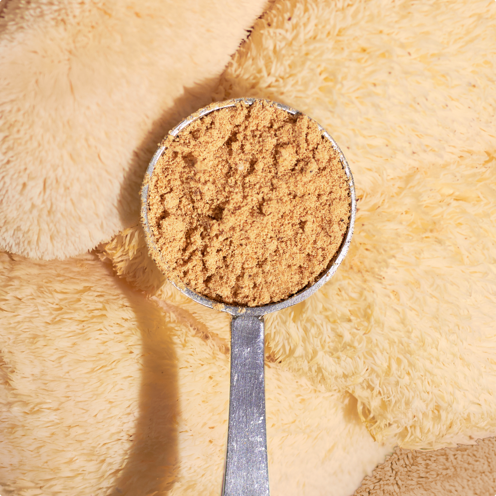 Laird Superfood organic lion's mane mushroom powder in a scoop with lion's mane mushroom background