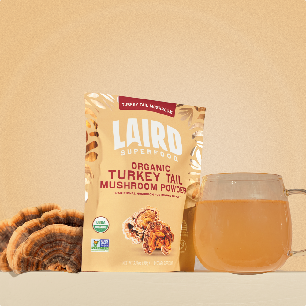 Laird Superfood organic turkey tail mushroom powder with a turkey tail mushroom and glass mug with the powder mixed into water. 