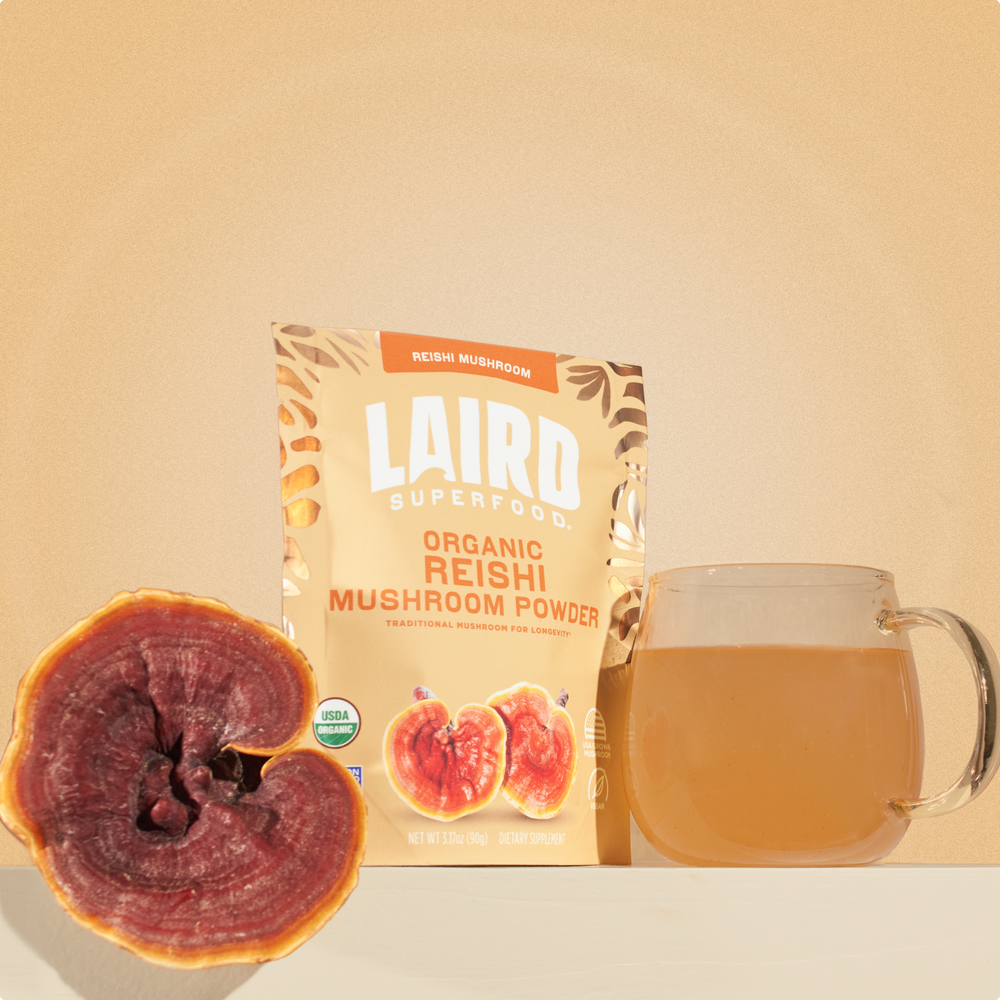 Laird Superfood organic reishi mushroom powder with a reishi mushroom and glass mug with the powder mixed into water. 