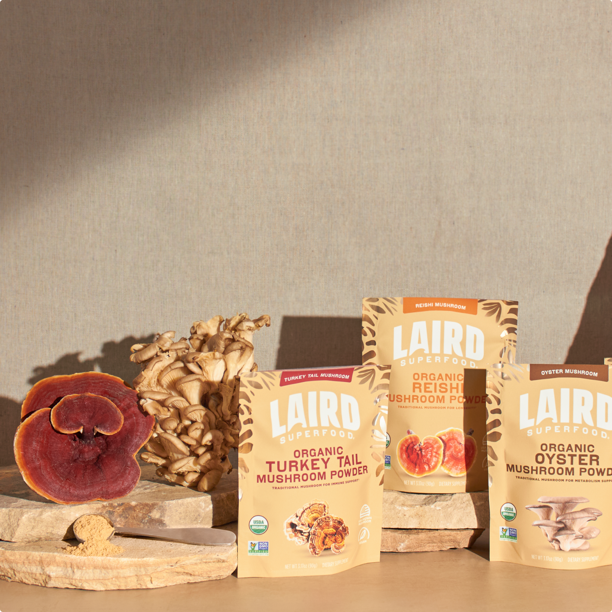 collection of Laird Superfood organic mushroom powders. 
