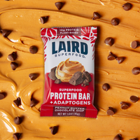 Peanut Butter Chocolate Chip Protein Bar (10pck)