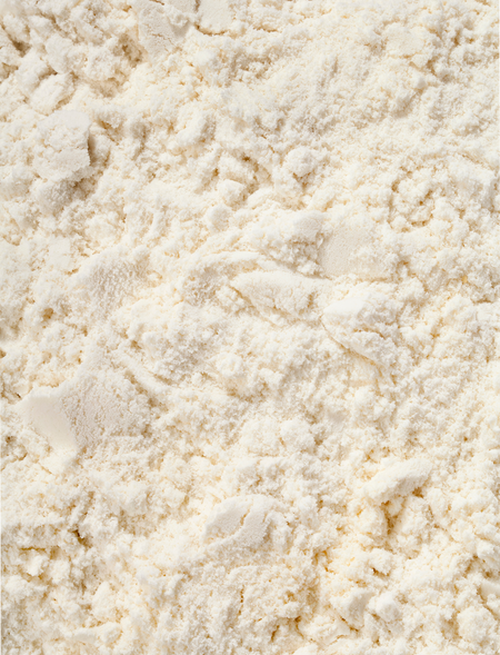 Whey Protein Concentrate