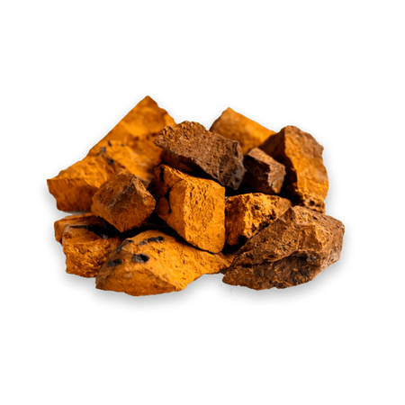 Chaga