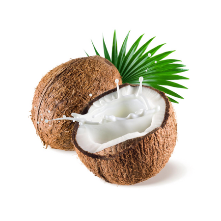 Coconut