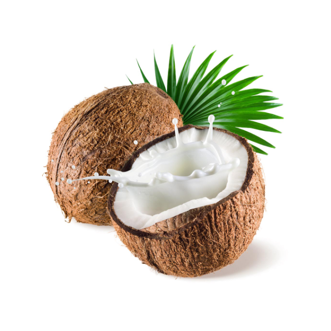 Coconut