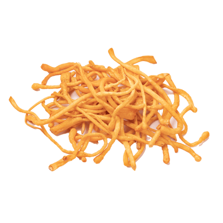 Cordyceps