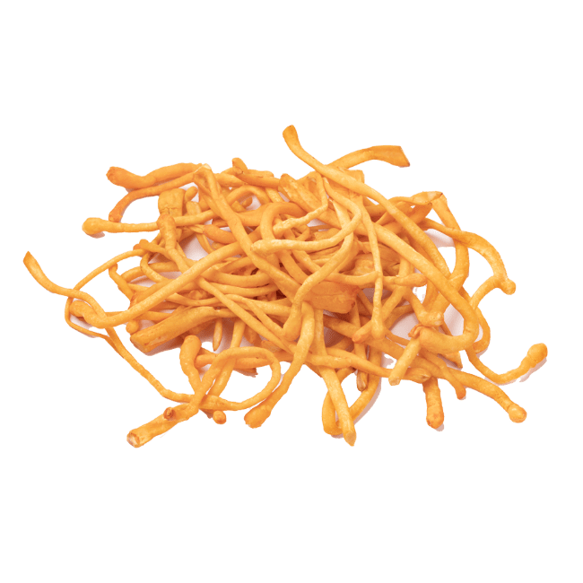 Cordyceps