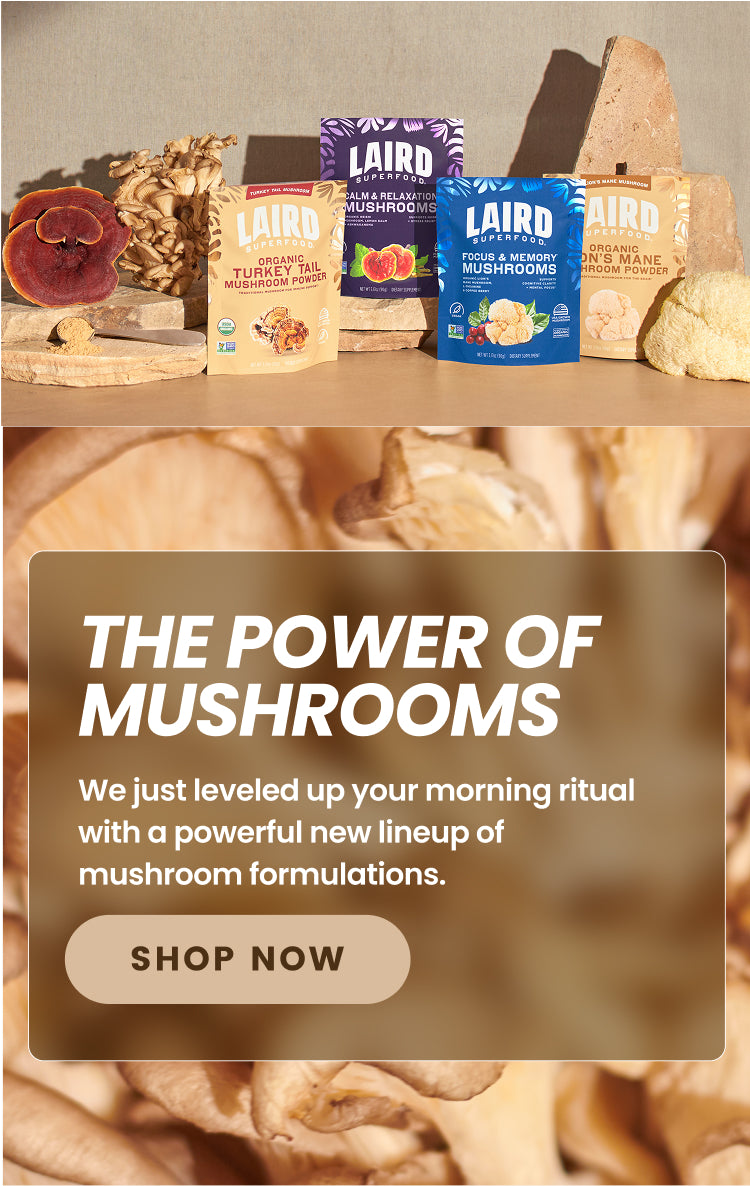 the power of mushrooms