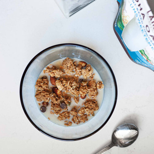 Chocolate Coconut Performance Granola