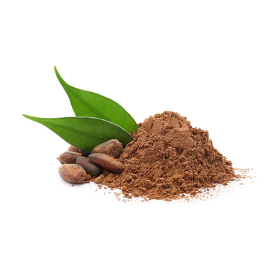 Cocoa Powder Dutch Alkalized