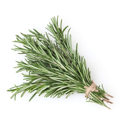 Dried Rosemary