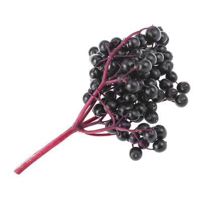 Elderberry