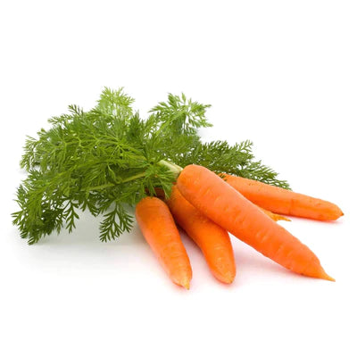 Non Organic Carrot Powder