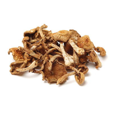 Organic Agaricus Mushroom Vitamin D Powder