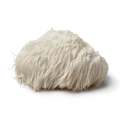 Organic Lion's Mane Mushroom Extract