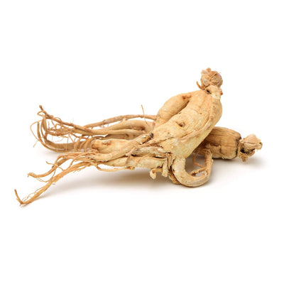 Panax Ginseng