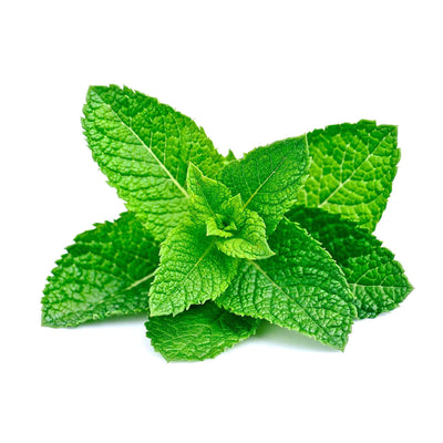 Peppermint Oil